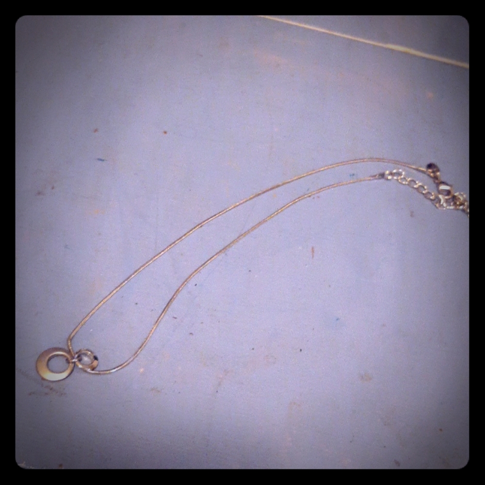 Circle ring necklace